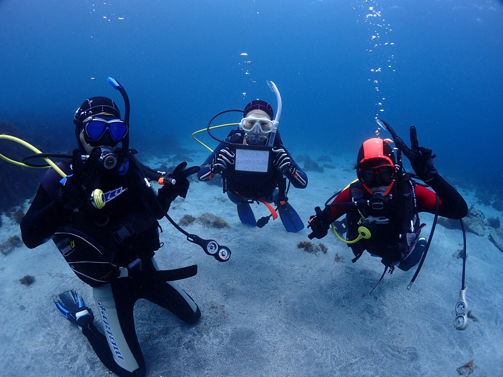 Diving Course Image